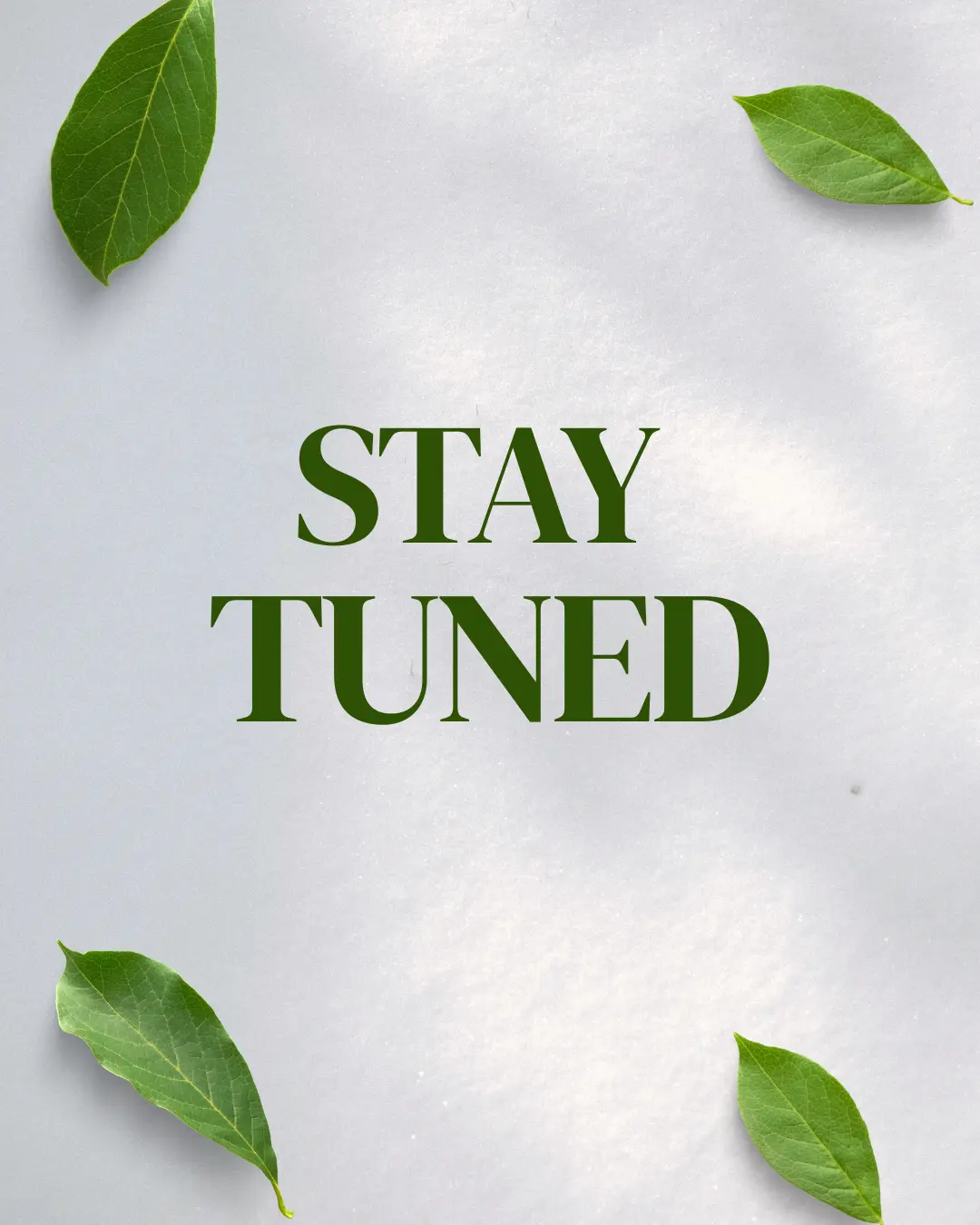 Introducing Mintara Paan Mukhwas: A Refined Finish to Every Meal image 2